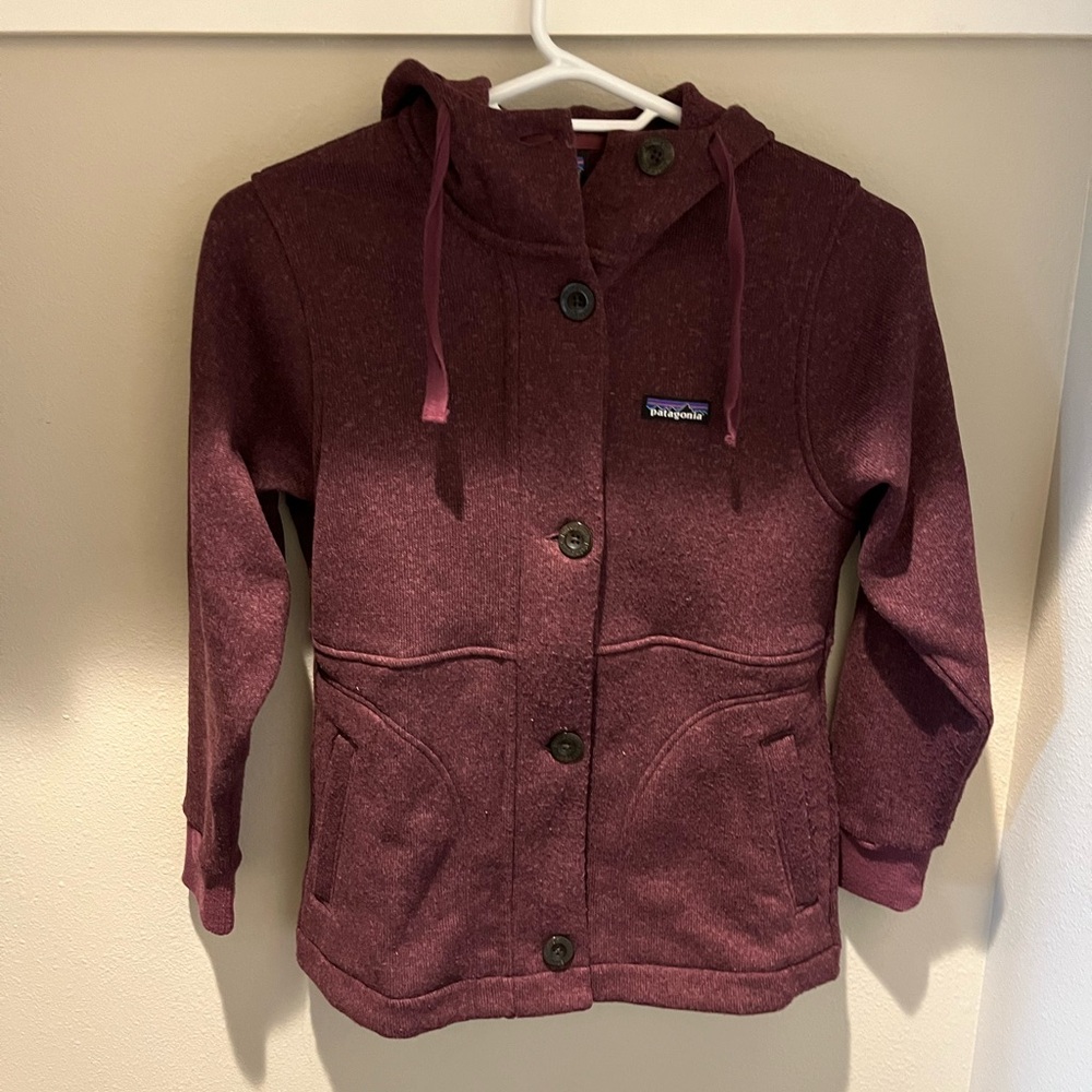 Patagonia Burgundy Hooded Jacket